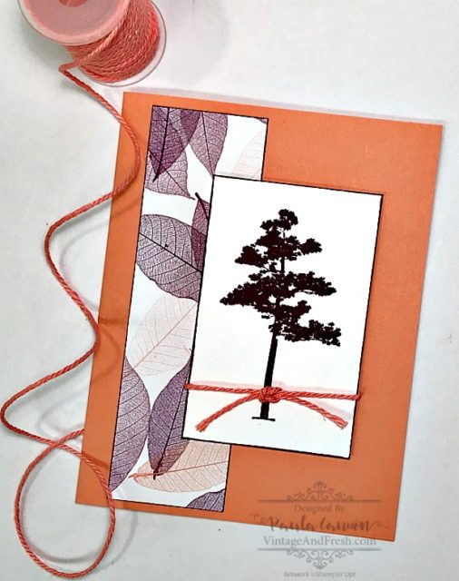Clean and simple card design using Stampin' Up! Rooted in Nature stamp set.