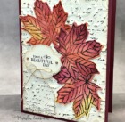 Card using Stampin' Up's Parisian Flourish 3D embossing folder and Very Versailles stamp set to create a vintage style.