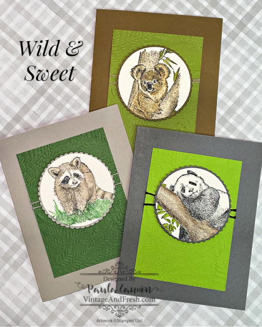 Trio of cards by Paula Cannon with the Wild & Sweet stamp set by Stampin' Up!