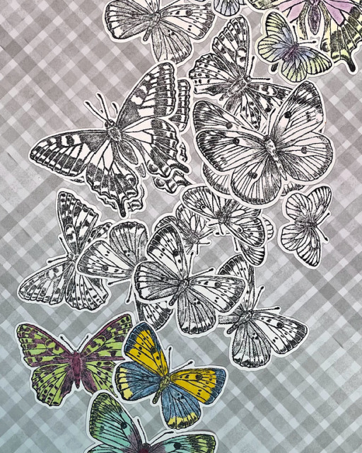 Die cuts from the Butterfly Brilliance stamp cut with Brilliant Wings die, ready to be colored.